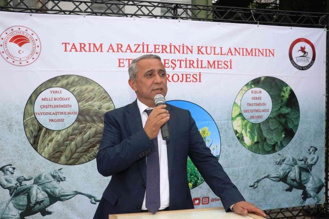 Samsun’da Yerli Ve Milli Buğday Çeşitleri Yaygınlaşıyor