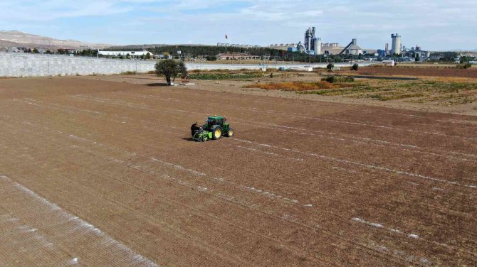Bilim Tarlasında Bin 500 Farklı Buğday Genotipi Tohumu Toprakla Buluştu