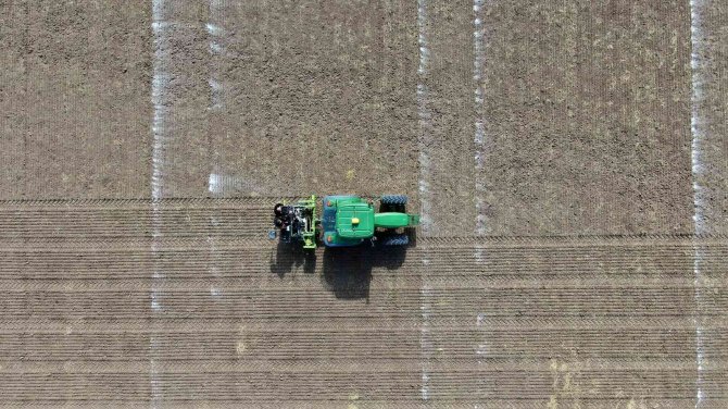 Bilim Tarlasında Bin 500 Farklı Buğday Genotipi Tohumu Toprakla Buluştu