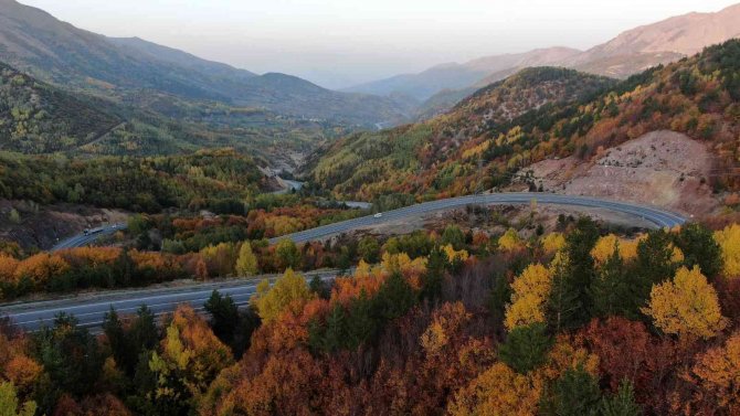 Sivas Pastel Tablo Gibi