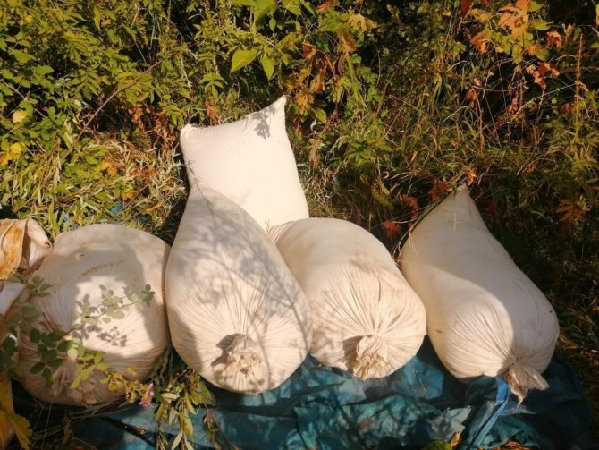 Diyarbakır’da ‘Eren Abluka Sonbahar Kış-3 Operasyonu’ Başlatıldı