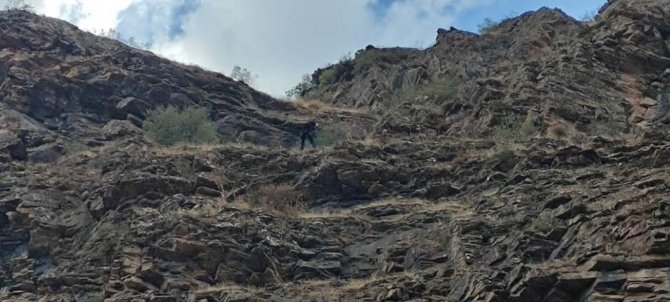 Afad’tan Keçi Kurtarma Operasyonu