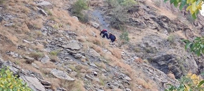 Afad’tan Keçi Kurtarma Operasyonu