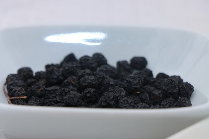 Yalova’nın Coğrafi İşaretli Meyvesi Aronyadan Yapılan Ürünler Tanıtıldı