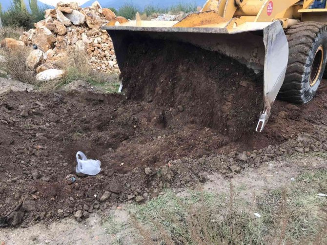 Akşehir’de Zabıta Denetimleri Sürüyor