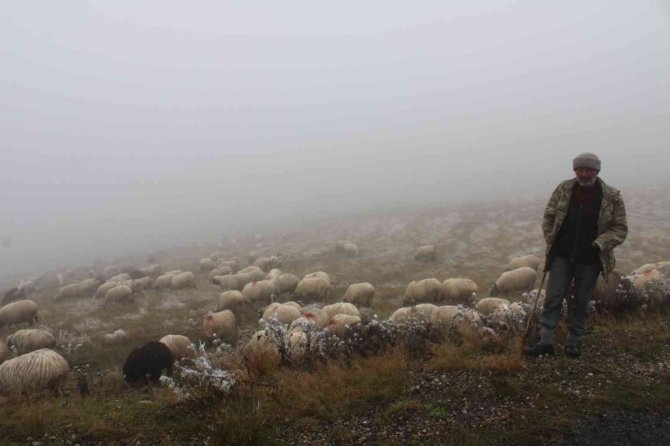 Ordu’ya Mevsimin İlk Karı Yağdı