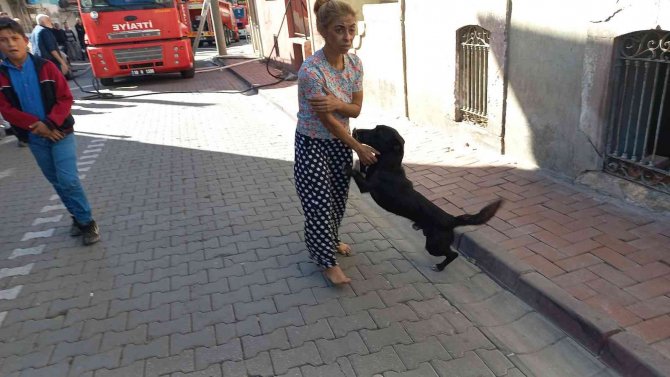 Hayat Kurtaran Havlama