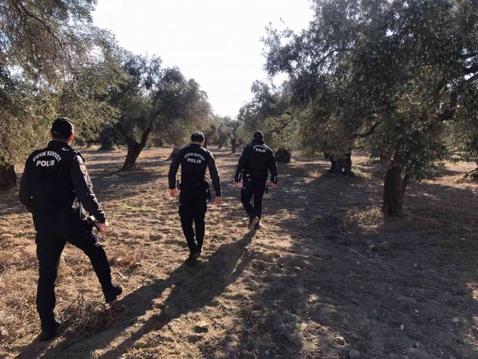 Edremit’te Polis Zeytin Bahçelerinde Denetim Yaptı