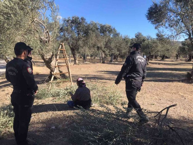 Edremit’te Polis Zeytin Bahçelerinde Denetim Yaptı