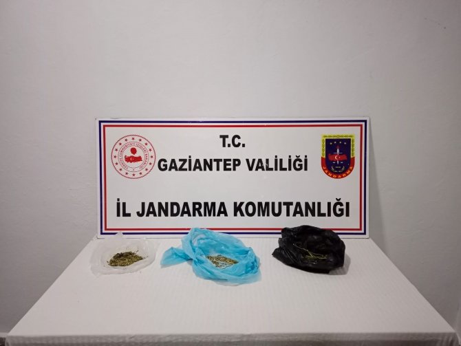 Jandarmadan Dev Operasyon: 57 Gözaltı