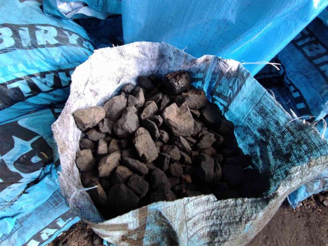 Gaz Sıkıntısı Çeken Avrupa, Türkiye’den Kömür Talep Ediyor