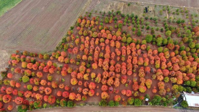 Bozkır Tuvale Dönüştü, Oluşan Manzara Mest Etti