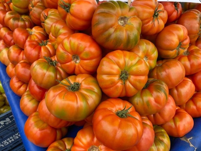 Pazarda Zam Şampiyonu Yerli Domates Oldu