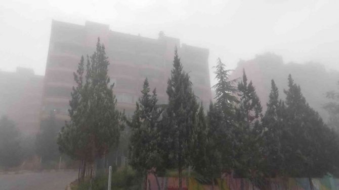 Kilis’te Yoğun Sis