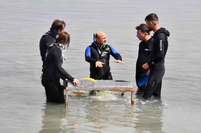 Marmara Denizi’ndeki Batık Kibatos Kalesi’nin Keşfi İçin Tarihi Dalışlar