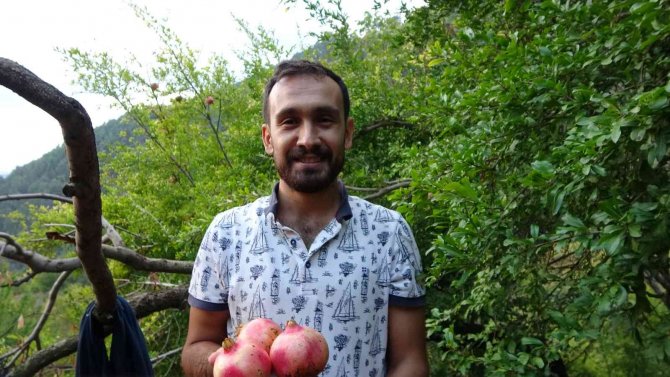 Tescilli Kuytucak Narında Hasat Başladı