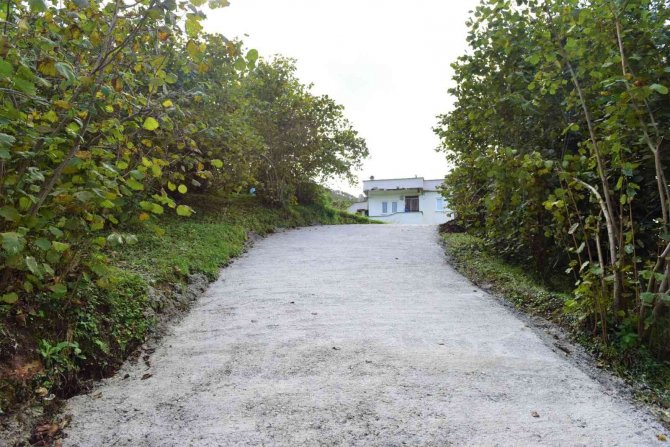 Kanser Hastası Yaşlı Şahsın Yol Problemi Çözüldü