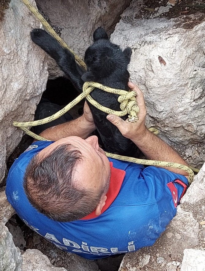 5 Metrelik Çukurda Sıkışan Keçi Yavrusunu İtfaiye Kurtardı