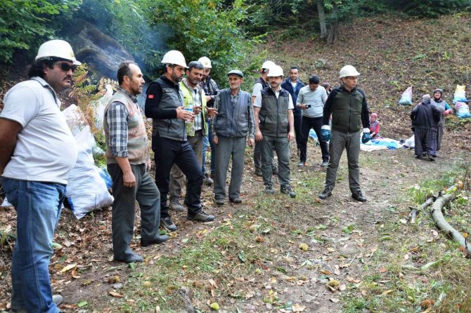 Simav’da Kestane Hasadı Başladı