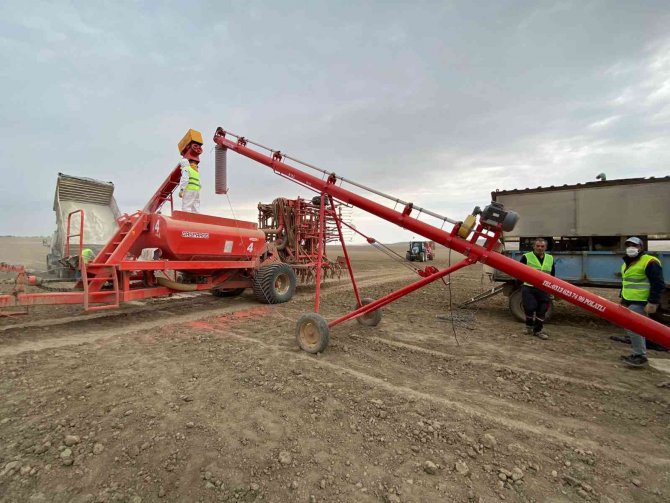 Türkiye Tohum Piyasasının 15 Bin Tonuna Ev Sahipliği Yapan Polatlı’da Güz Ekimi Başladı