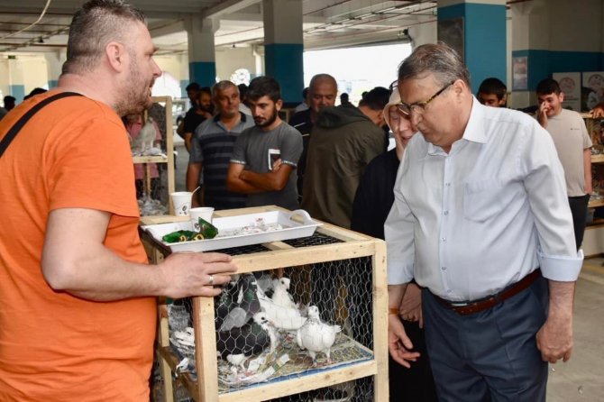 Kuş Pazarında Brahma Yarışması Yapılacak