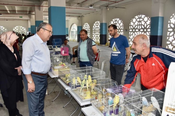 Kuş Pazarında Brahma Yarışması Yapılacak