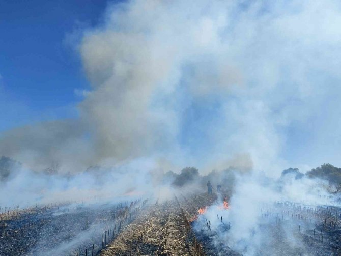 Antalya’da Anız Yangını İtfaiye Ekiplerine Zor Anlar Yaşattı