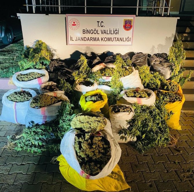 Bakan Soylu Duyurdu: 6 Milyon 400 Bin Kök Kenevir Ele Geçirildi