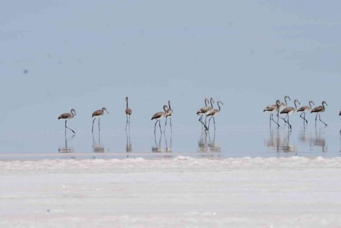 Çevre, Şehircilik Ve İ̇klim Değişikliği Bakanı Kurum: "Çok Şükür Aldığımız Tedbirler Sonuç Verdi"