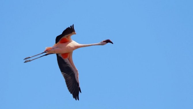 Çevre, Şehircilik Ve İ̇klim Değişikliği Bakanı Kurum: "Çok Şükür Aldığımız Tedbirler Sonuç Verdi"