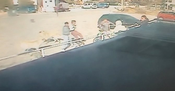 Edirne’de Sahipsiz Köpeklerin Çocuğa Saldırma Anı Kamerada