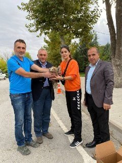 Doğa Yürüyüşü Sırasında Bitkin Düşen Akbaba Buldular