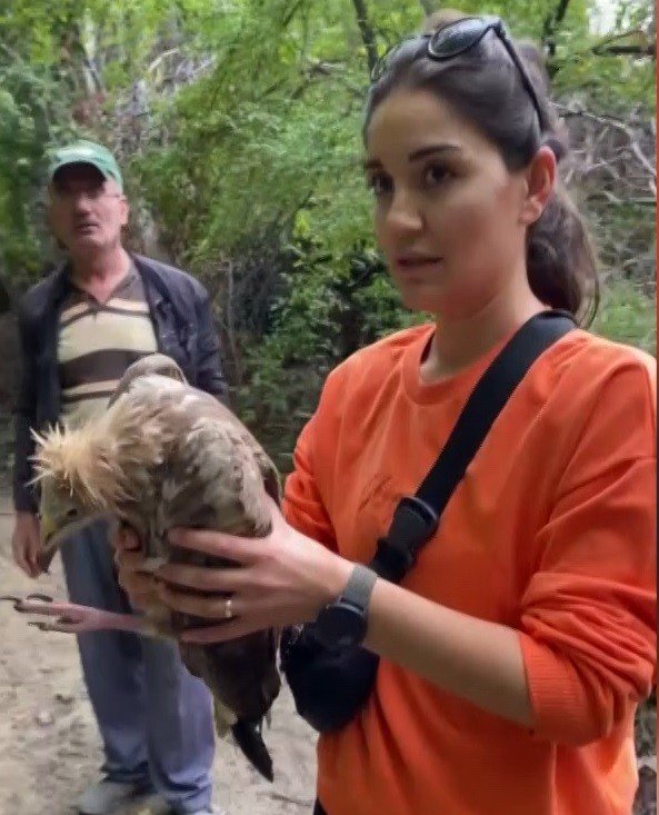 Doğa Yürüyüşü Sırasında Bitkin Düşen Akbaba Buldular