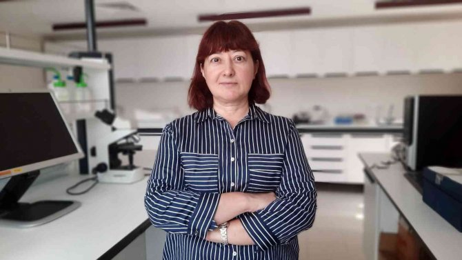 Marmara Denizi İçin Tehlike Çanları Çalıyor: "İ̇stilacı Türler Kapıda"