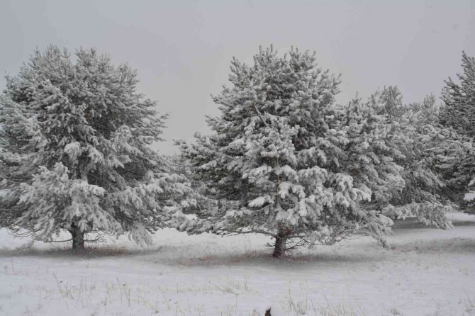 Kars’ta Kartpostallık Kış Manzaraları