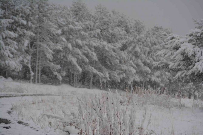 Kars’ta Kartpostallık Kış Manzaraları