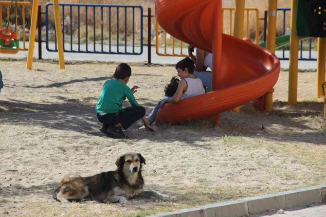 İ̇ki Kardeş 3 Gün Arayla Dehşeti Yaşadı