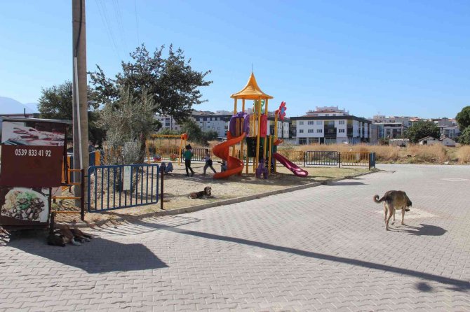 İ̇ki Kardeş 3 Gün Arayla Dehşeti Yaşadı