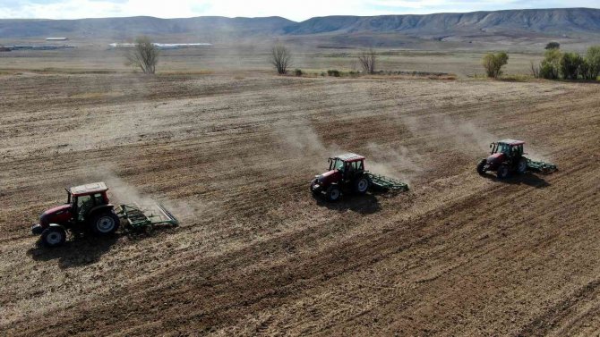 Türkiye’nin Tritikale İhtiyacının Yüzde 50’si Sivas’ta Üretiliyor