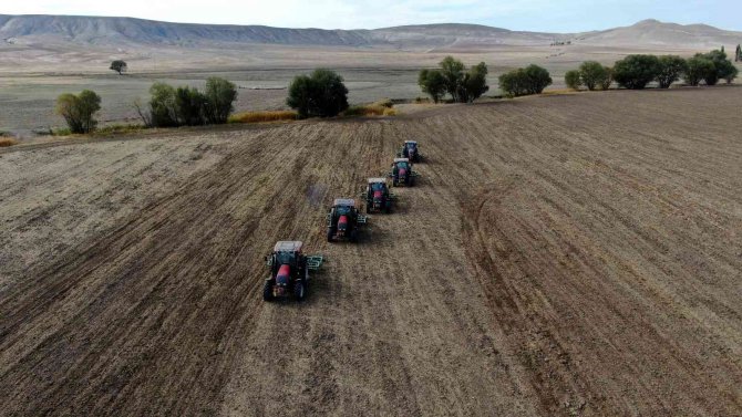 Türkiye’nin Tritikale İhtiyacının Yüzde 50’si Sivas’ta Üretiliyor