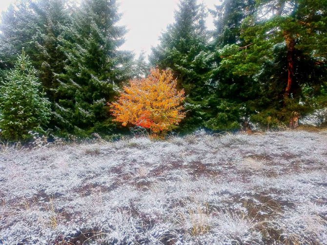 Artvin’de Kar Yağışı Sonrası Yüksek Kesimler Beyaza Büründü