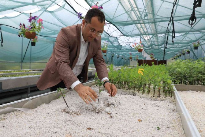 Seralar Hem Belediyenin Hem De Vatandaşın İhtiyacını Karşılıyor