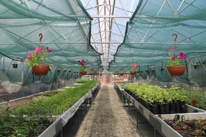 Seralar Hem Belediyenin Hem De Vatandaşın İhtiyacını Karşılıyor