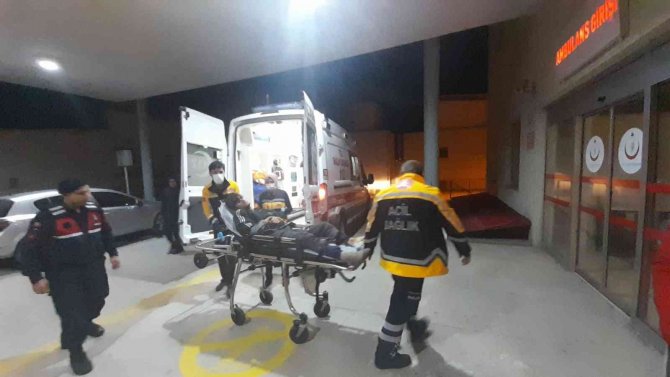 Kaçak Göçmenler Yol Kenarında Bulundu