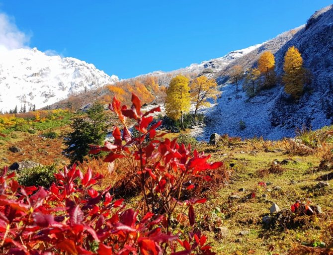 Artvin’den Sonbahar Manzaraları