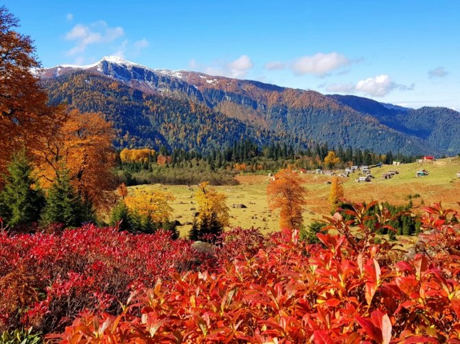 Artvin’den Sonbahar Manzaraları