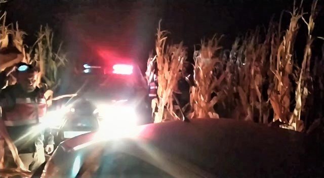 Emlakçıdan Çalınan Otomobil Ve Bilgisayarlar Tarladaki Mısırların Arasında Bulundu