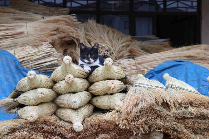 Binbir Emekle Üretiliyor, 50 Liraya Satılıyor