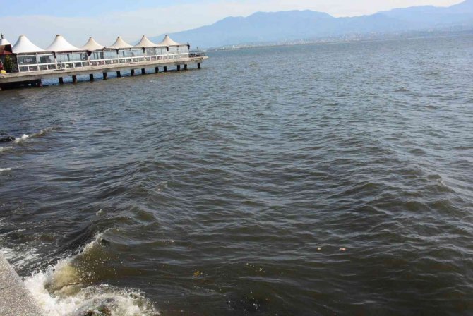 İ̇zmit Körfezi’nde Renk Değişikliği