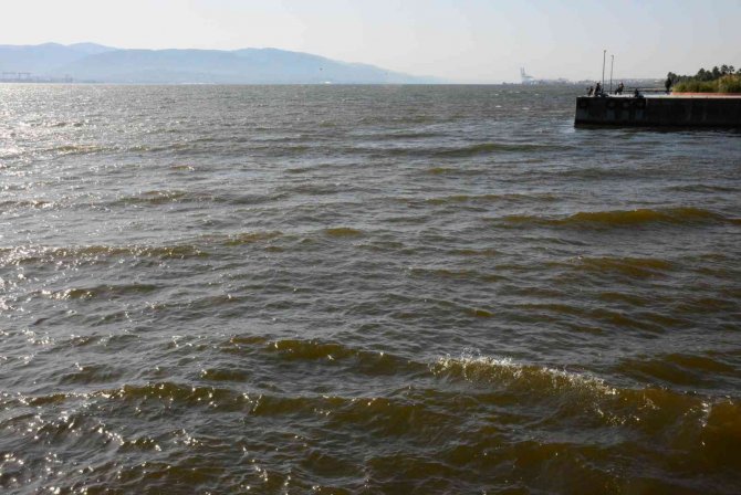 İ̇zmit Körfezi’nde Renk Değişikliği